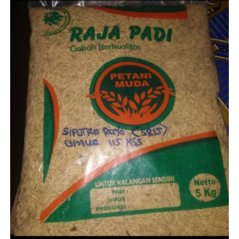 

Benih Padi