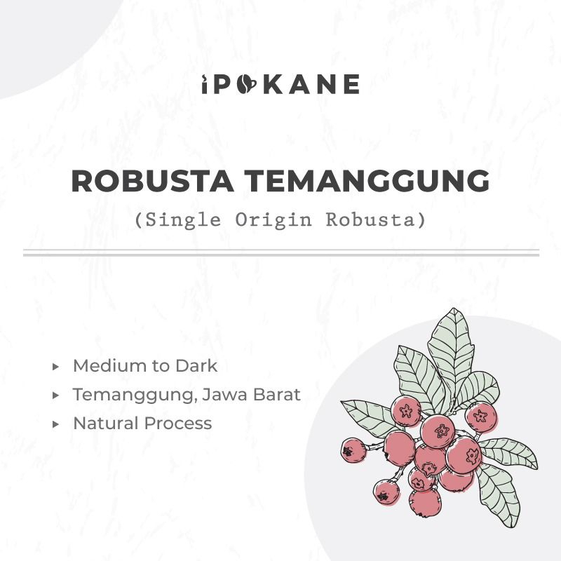 

KOPI FULL ROBUSTA - TEMANGGUNG - SINGLE ORIGIN - ROASTED BEANS