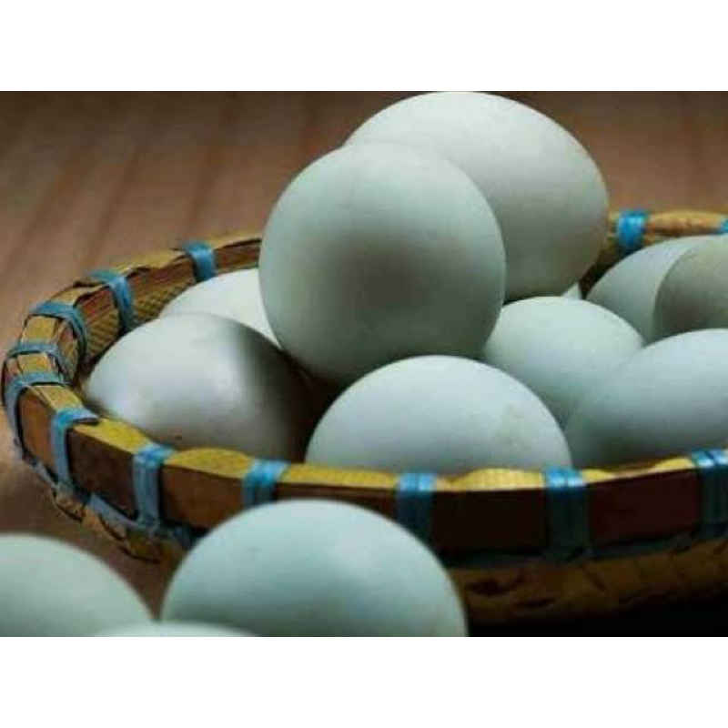 

Telor Bebek Tawar Mentah