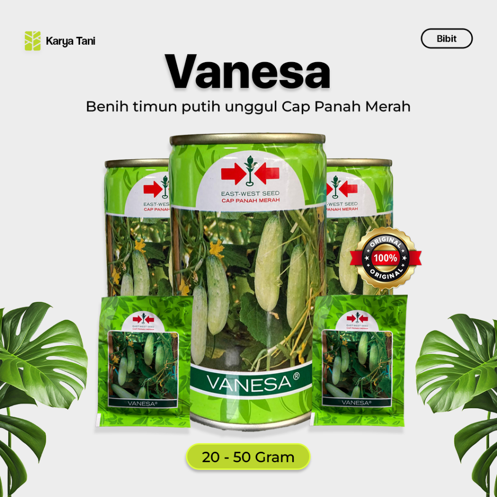 Benih Timun Cap Panah Merah Vanesa 20gram 50gram
