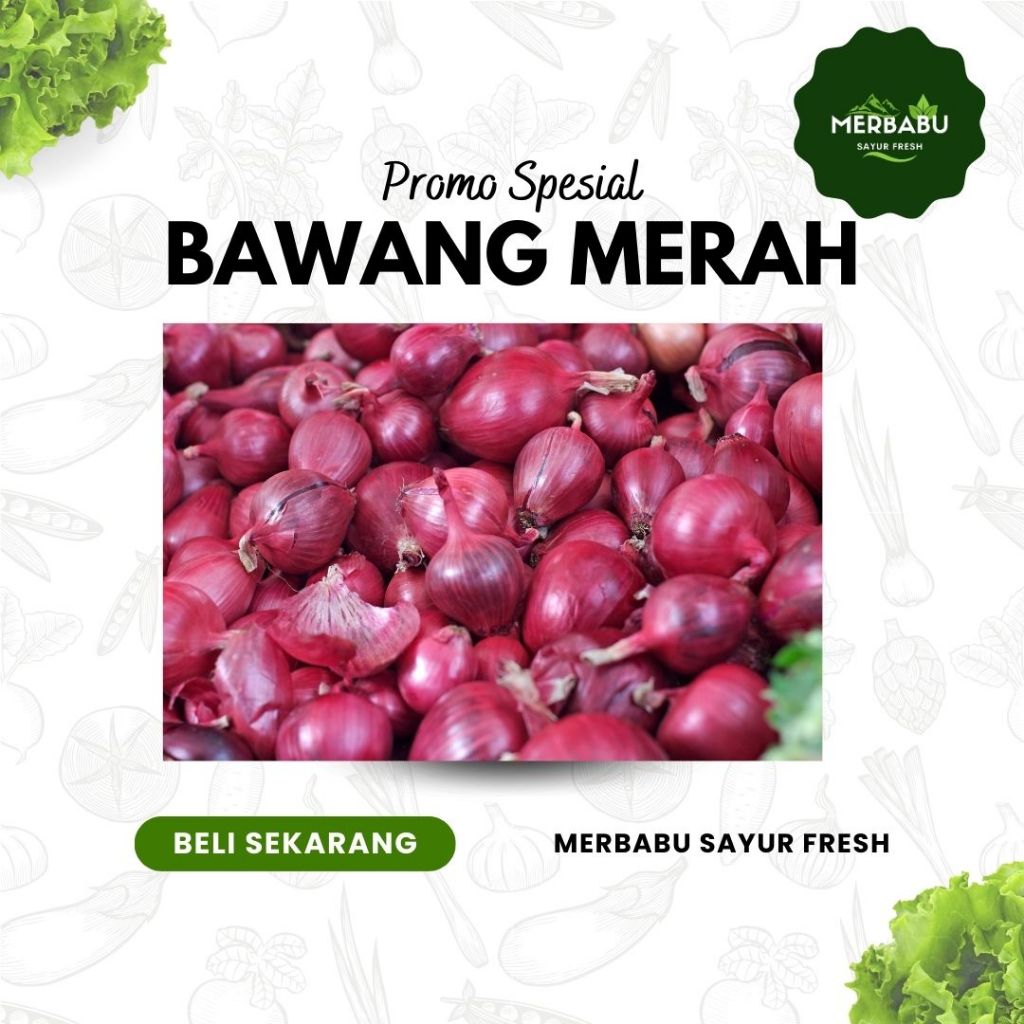 

BAWANG MERAH FRESH DARI KEBUN SENDIRI 1KG