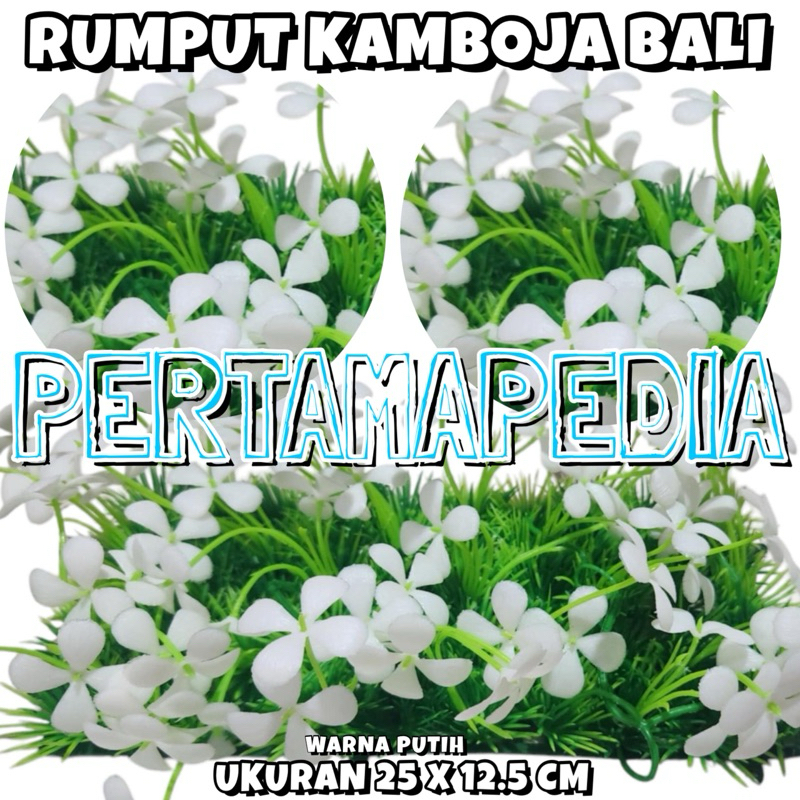 RUMPUT PLASTIK KAMBOJA BALI UKURAN 25X12.5 CM/ RUMPUT AQUARIUM/ RUMPUT PLASTIK/ BUNGA PLASTIK/ DAUN 