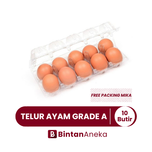 

Telur Ayam Grade A Coklat Glowing - 10 Butir (Free Packing Mika)