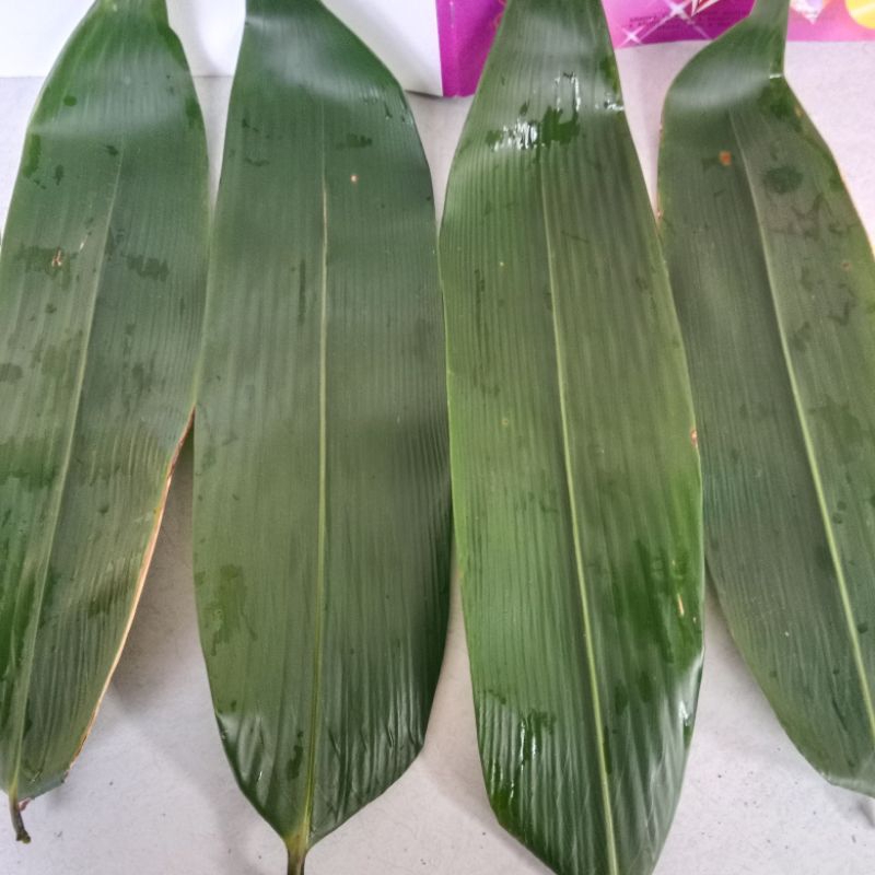 

100 lembar daun bambu bakcang
