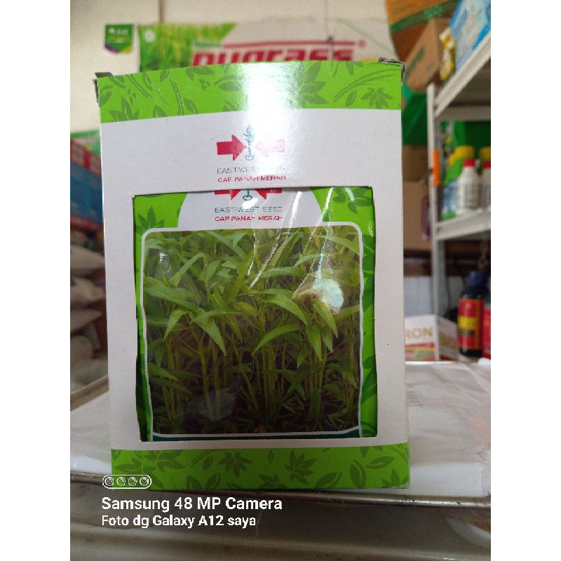 

kangkung bangkok cap panah merah