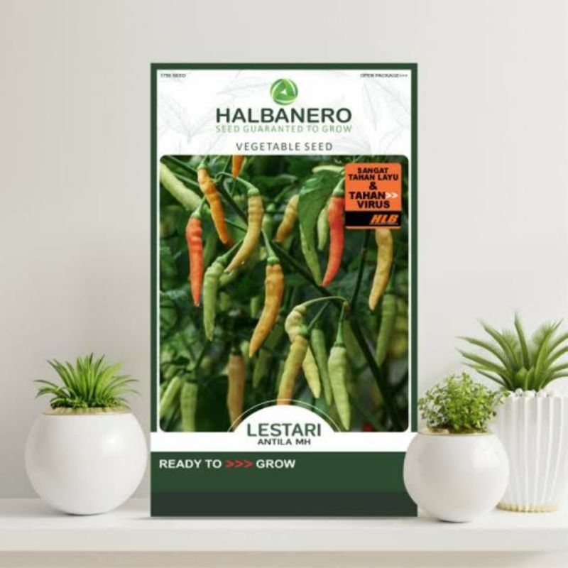 benih cabai halbanero lestari