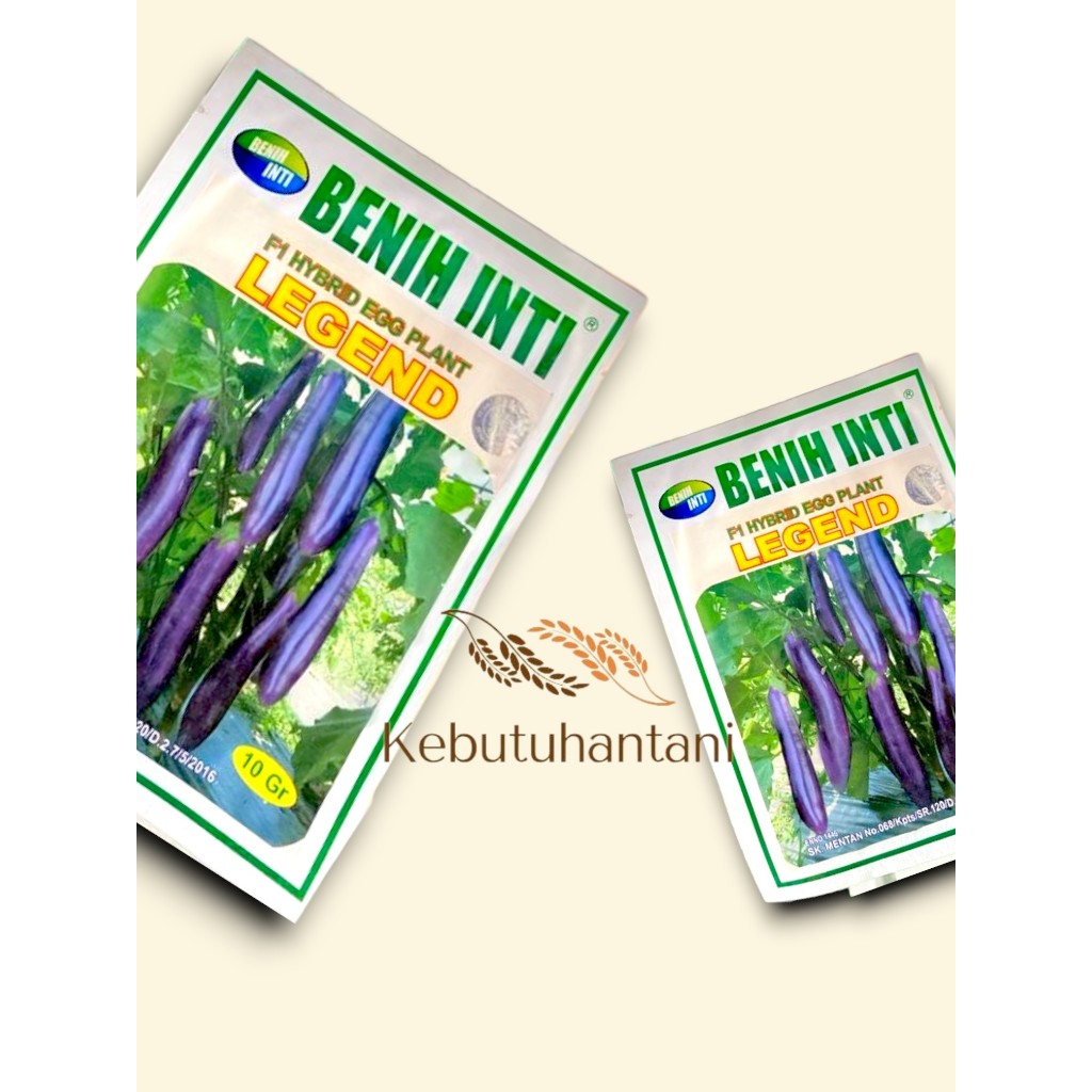 Benih Terong Ungu LEGEND F1 isi 10gram dari benih inti