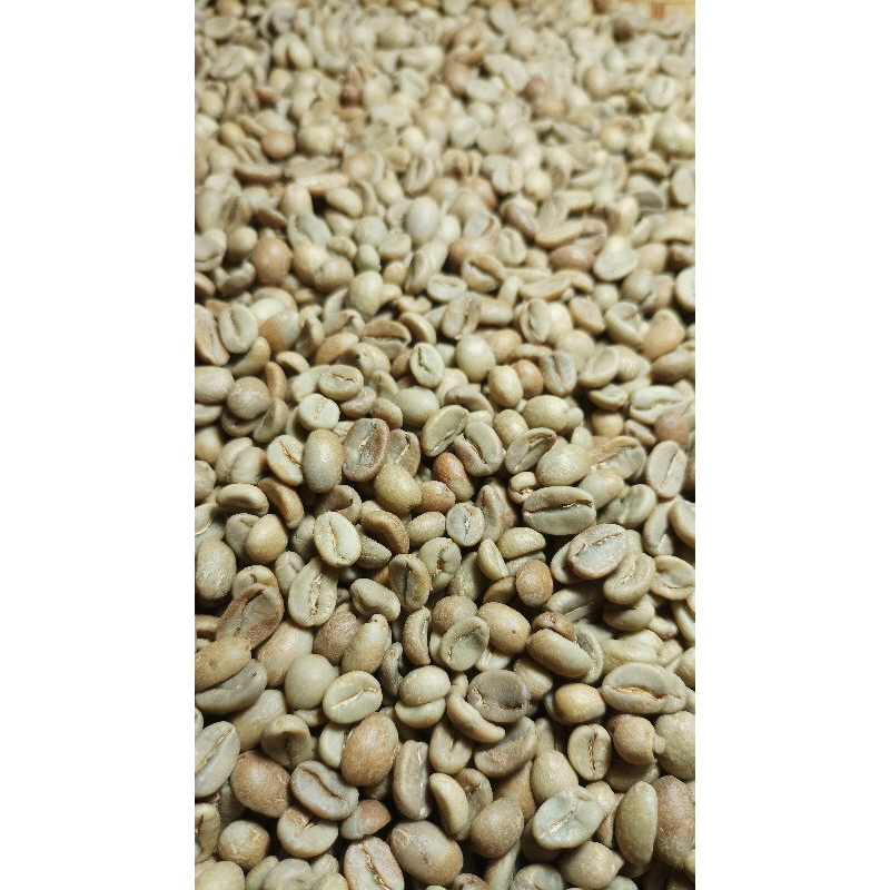 

Biji Kopi Arabica Arabika Green Bean Mentah Malabar Natural Classic Process Specialty Grade