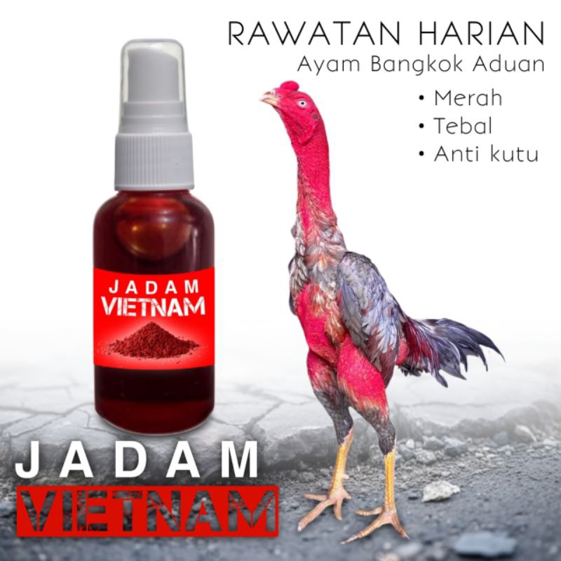 kemin rawatan ayam Bangkok jadam Vietnam