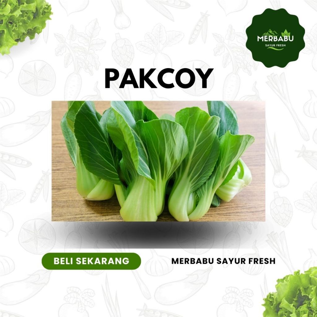 

SAWI CENDOK / PAKCOY 1 KG dari KEBUN SENDIRI