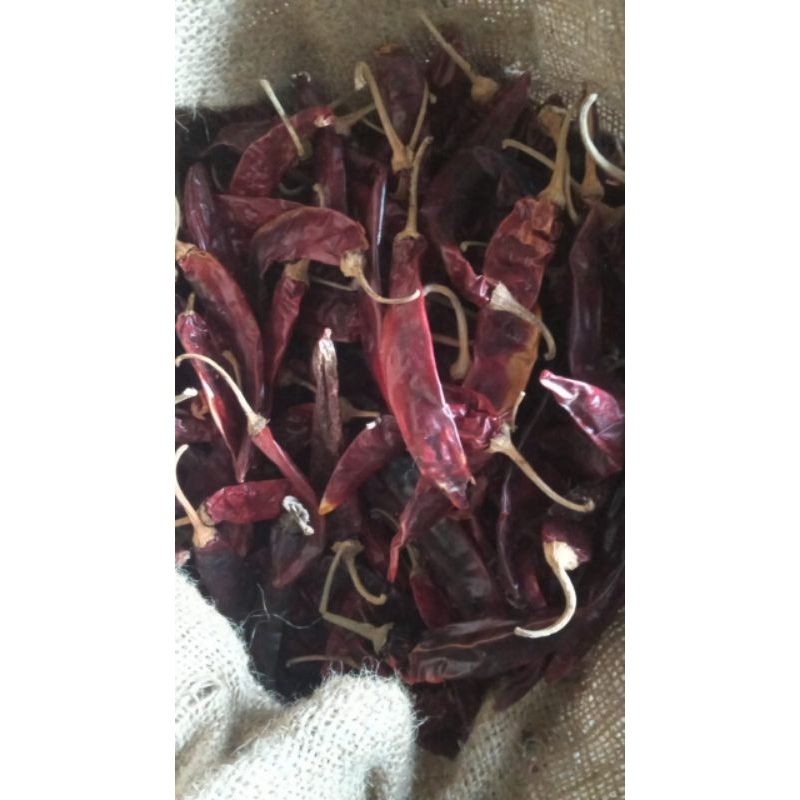 

5 kg cabe merah besar kering india ada tangkainya.