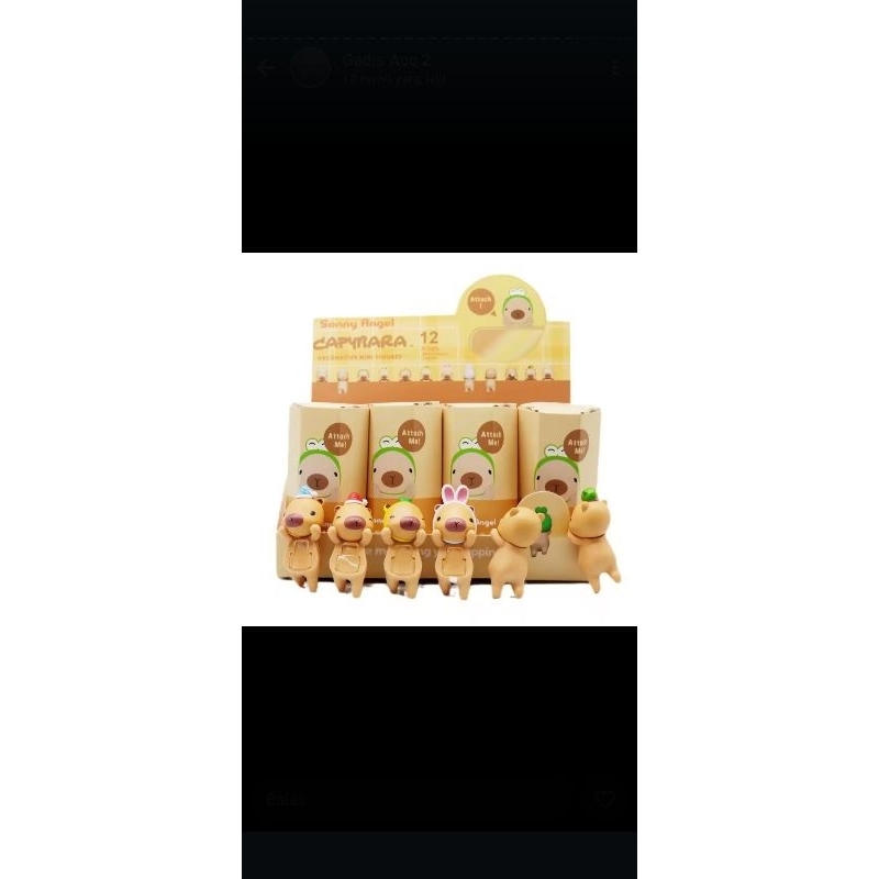 

1 BOX HIPPERS CAPY BARA PREMIUM ISI 12