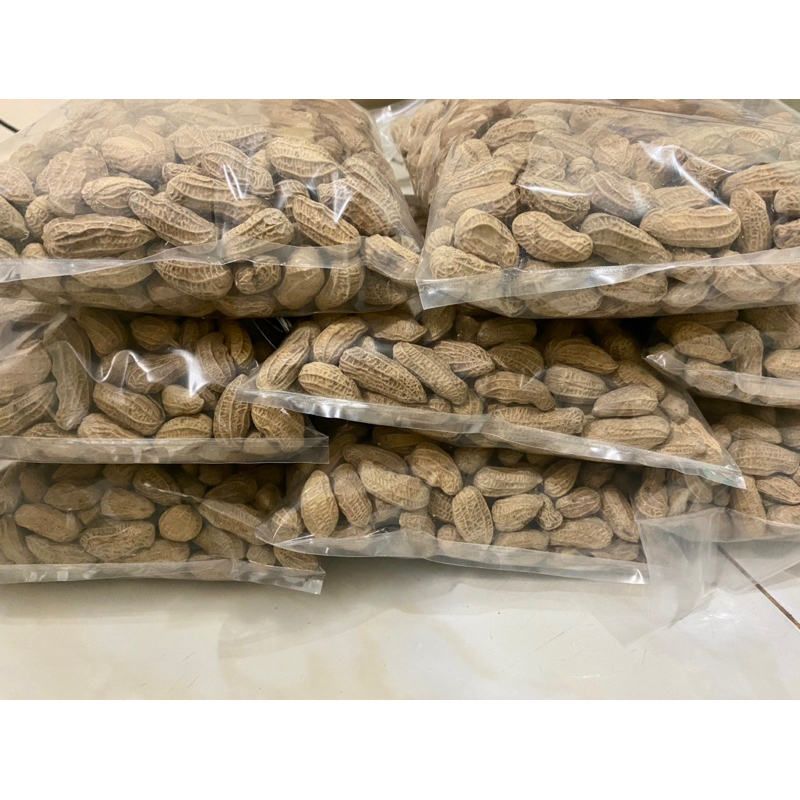 

KACANG KULIT SANGRAI 500 GRAM