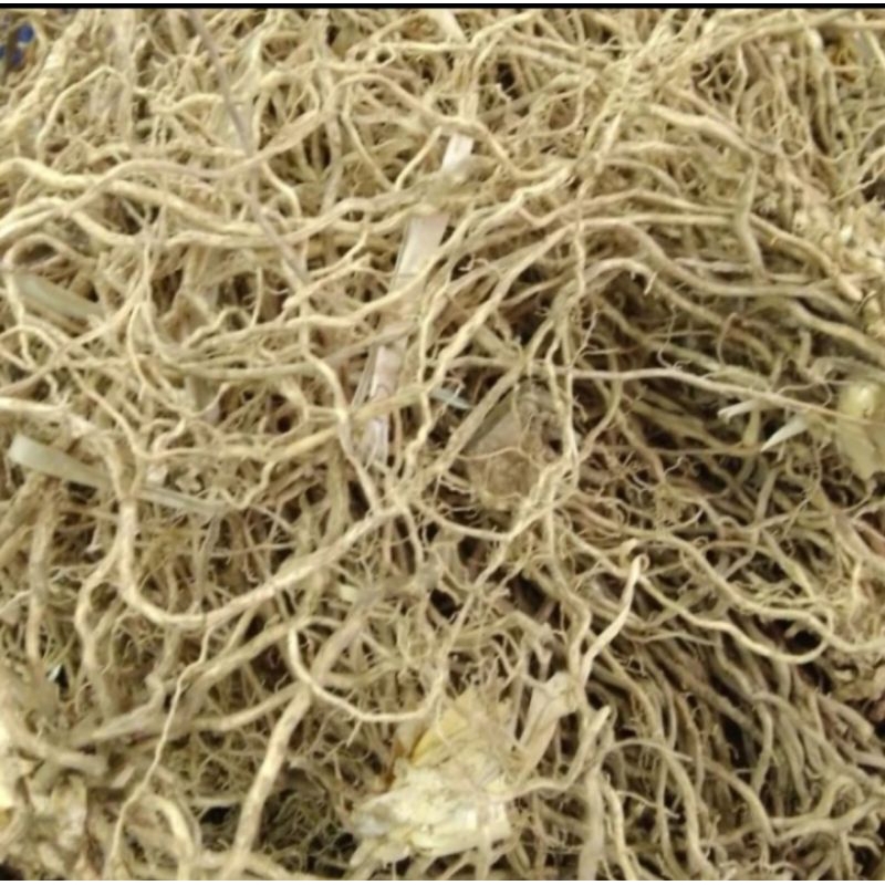 

Akar Wangi Kering 500gr Herbal Kualitas Bagus