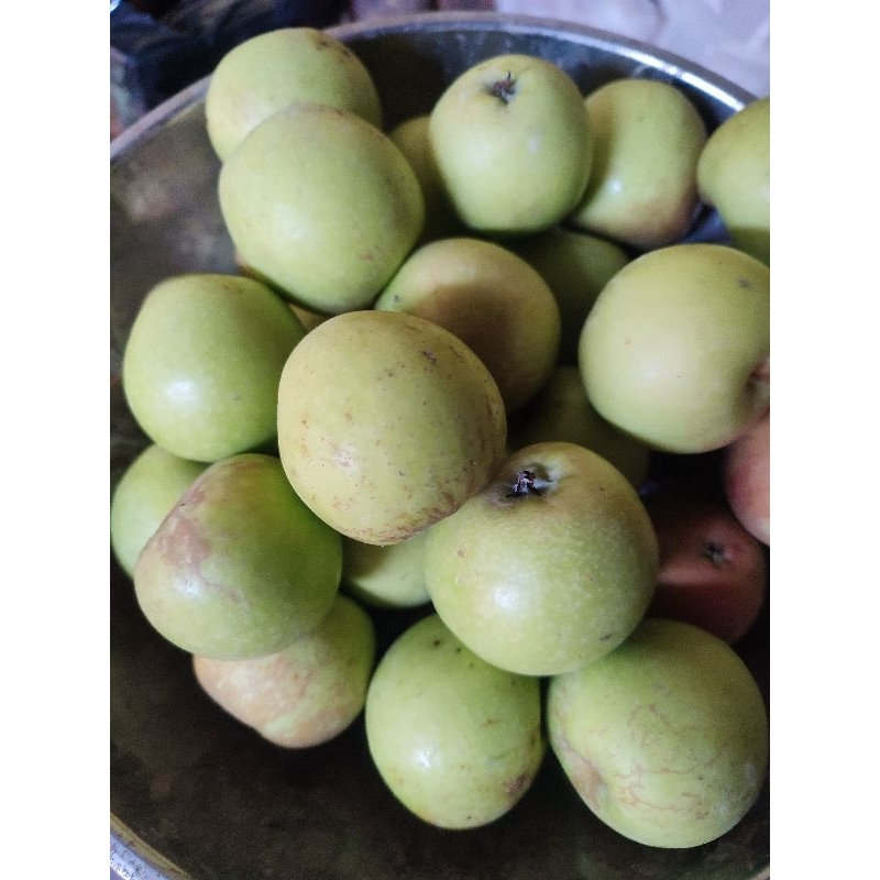 

apel manalagi mini 1 kg