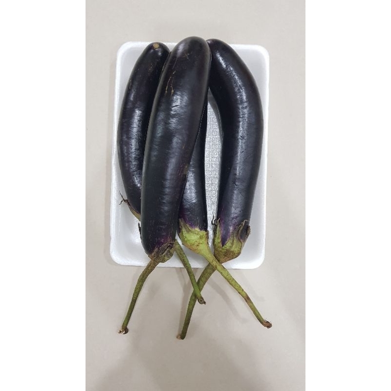 

Terong Ungu