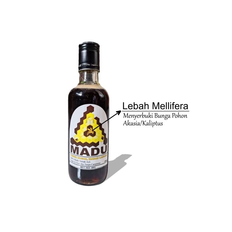 

A.Madu_Madu-Ternak-Asli_Madu-Akasia_Lebah-Mellifera_250ml