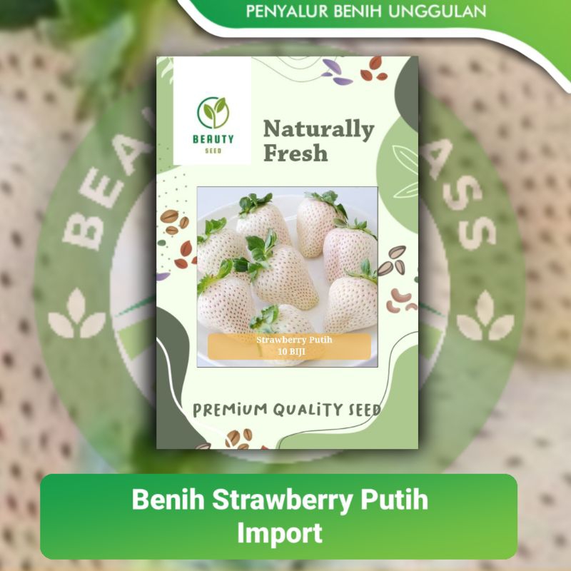 10 Bibit Strawberry Putih - Benih Buah Strawberry Premi White Import - STRAWBERRY PUTIH
