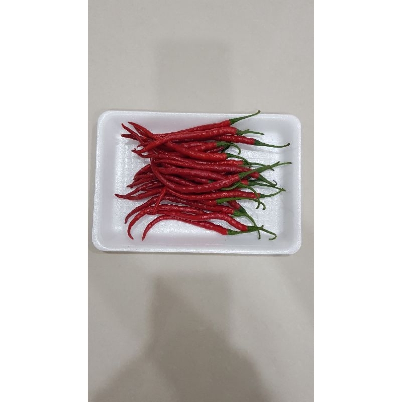 

Cabe Merah Keriting