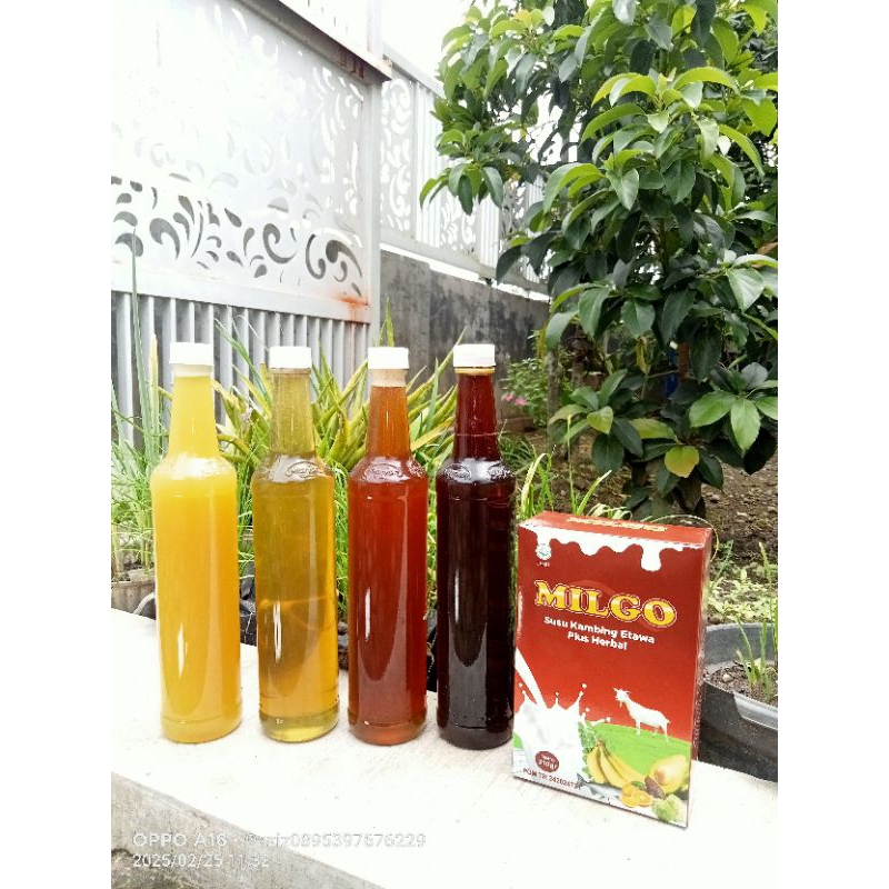 

madu hutan gunung Wilis bunga Kaliandra paket 3 botol bonus susu kambing etawa herbal