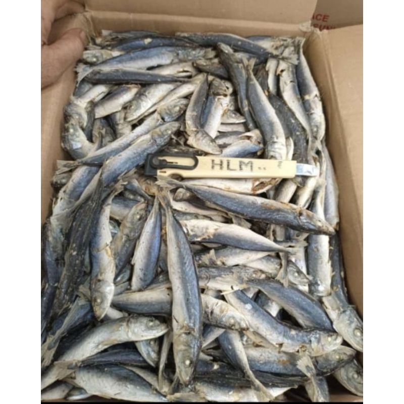 

Layang Rebus Seperapat ( 250 gram )