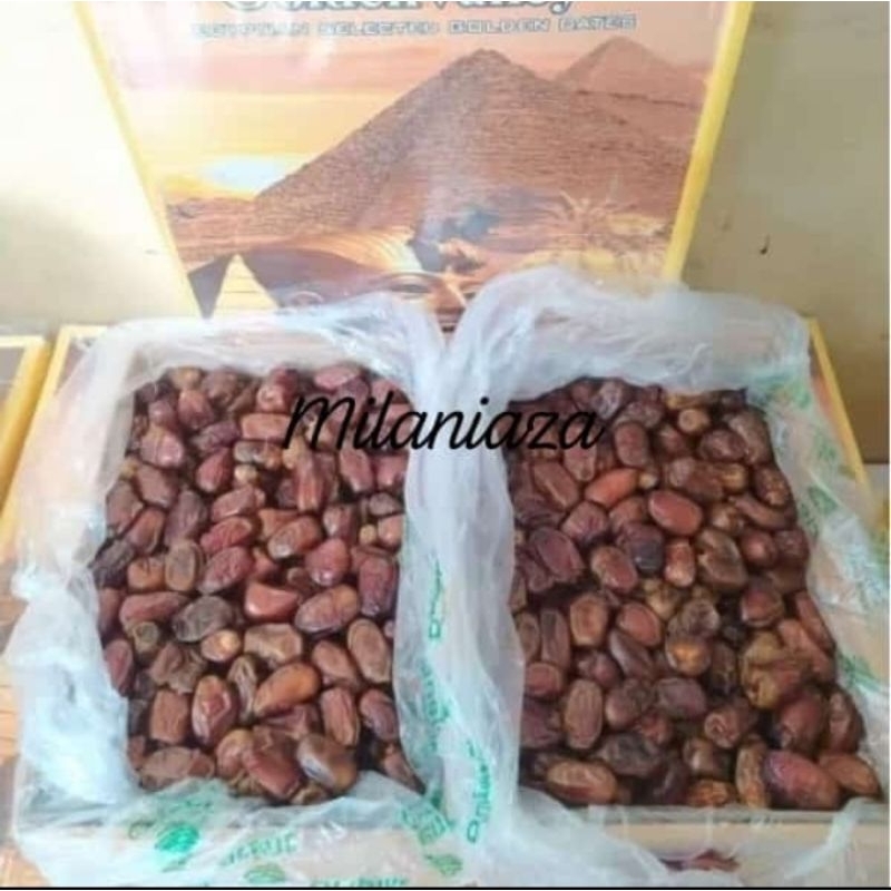 

Kurma Mesir 10kg