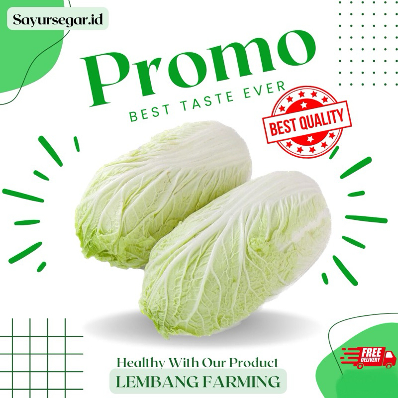 

PROMO!!! sawi putih segar konvensional