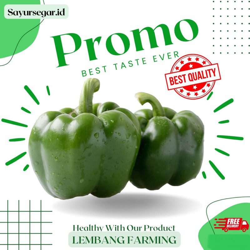 

PROMO!!! paprika hijau segar