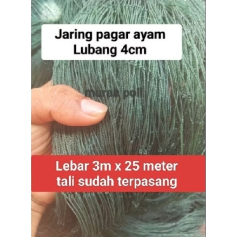 Jaring pagar ayam Lebar 3m x 50 meter/jaring kandang ayam