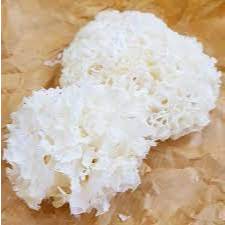 

Jamur Es (1 Pack) Fresh Premium Instan Surabaya