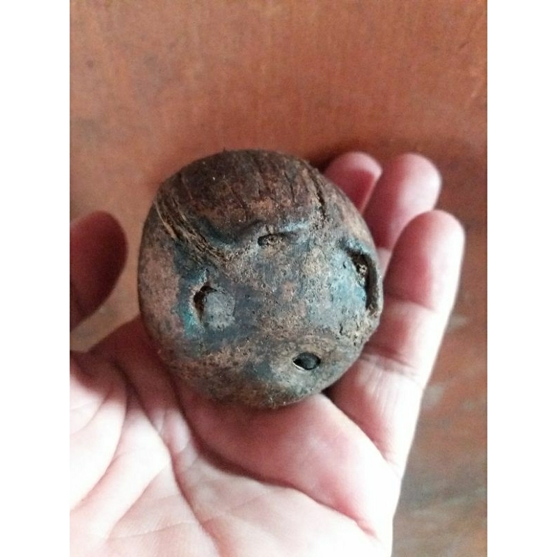 

kelapa kecil sebesar telor angsa est