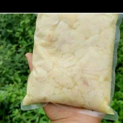 

Lemak Ayam Kampung Andalas 500 gr