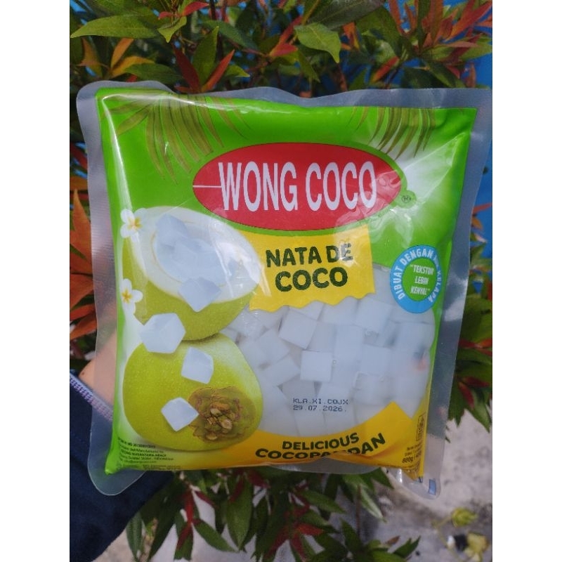 

Wong Coco Nata De Coco Bantal 800 gr