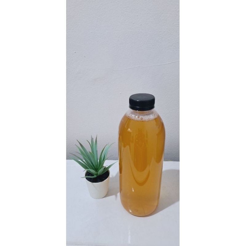 

kombucha 1liter