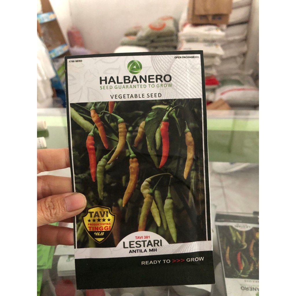 benih cabai Lestari 10gr - halbanero