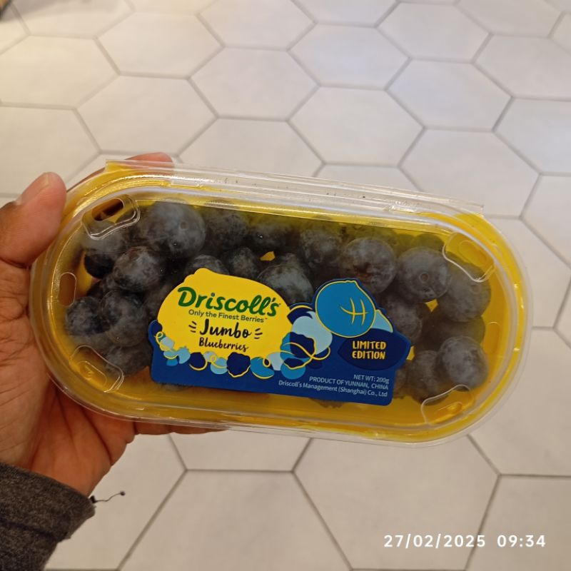 

Blueberry Jumbo Segar 200 gram fresh