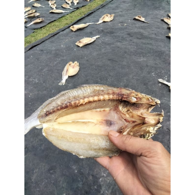 

ikan asin gulamo