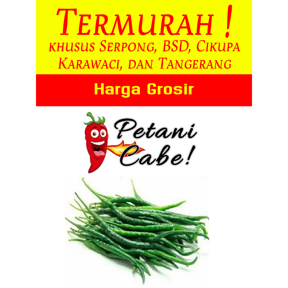 

Cabe / Cabai Hijau Keriting 1 kg Harga Grosir (Petani Cabe)