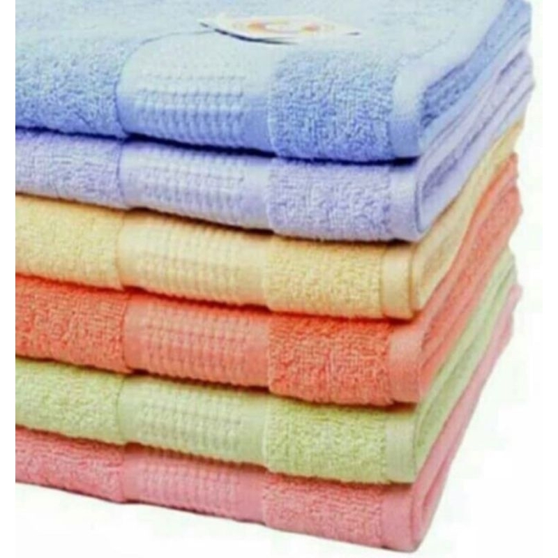 Handuk Terry Palmer 70x140