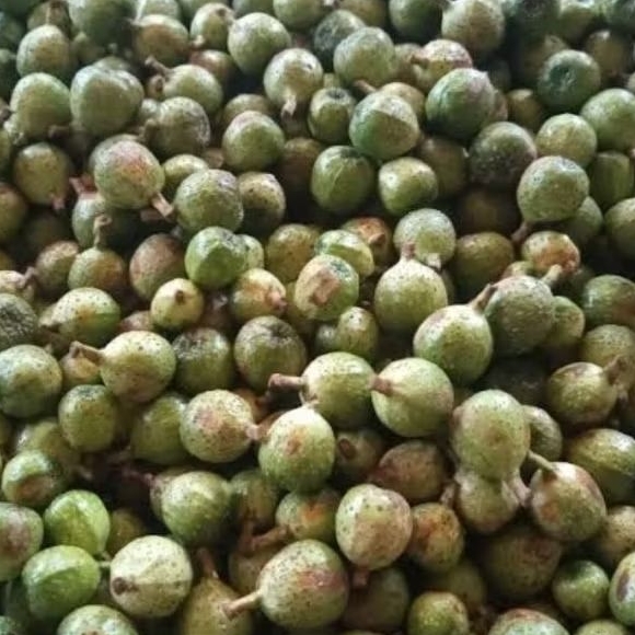 

Hemat 250 gram buah Awar Awar fresh