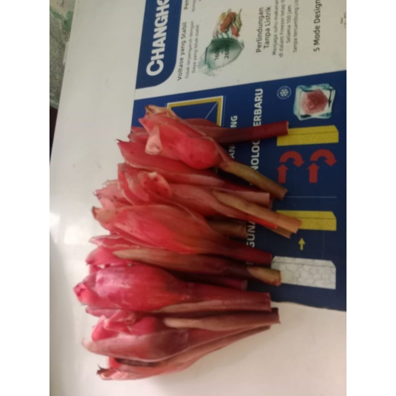 

kecombrang 250gram