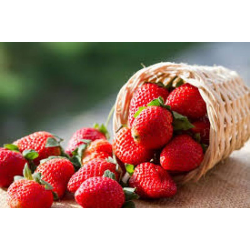 

buah Strawberry 1pack/ buah strawberry 1pack