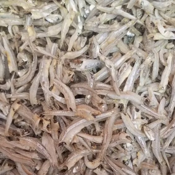 

Teri Jengki Medan, Teri Jengki Premium