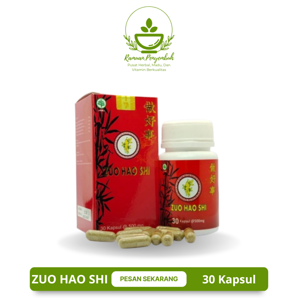ZUO HAO SHI KAPSUL CINA - OBAT HERBAL ATASI NYERI SENDI TULANG