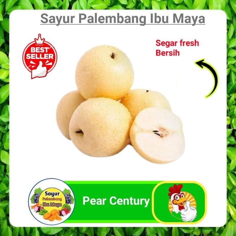 

Buah Pear Pir Century - Sayur Palembang