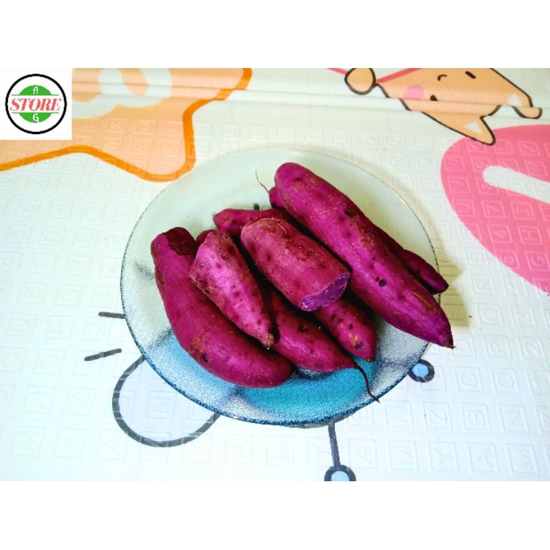 

Ubi ungu fresh kecil 1kg