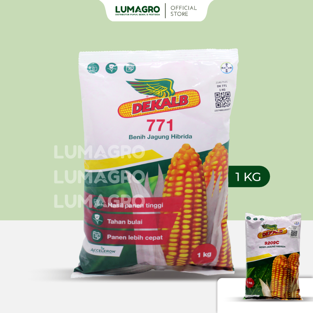Benih Jagung DK 771 DK 9209 C 1kg Bibit Hibrida Dekalb DK771 DK9209C Unggul Tahan Penyakit Bulai