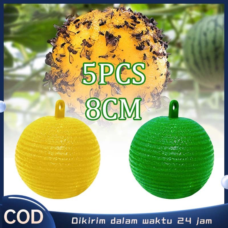 Alat Lalat Buah Jebakan Lalat Buah Lem Perangkap Lalat Buah Petrogenol Perangkap Lalat Buah Bola Rod