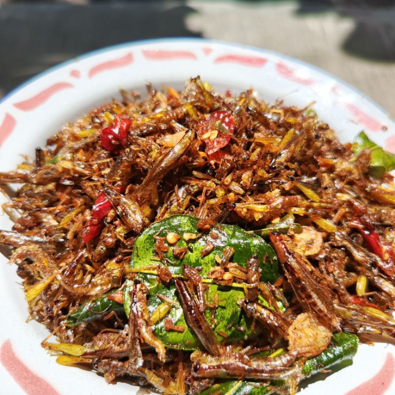 

belalang utes/belalang kecil goreng 100 gram. rasa pedas gurih