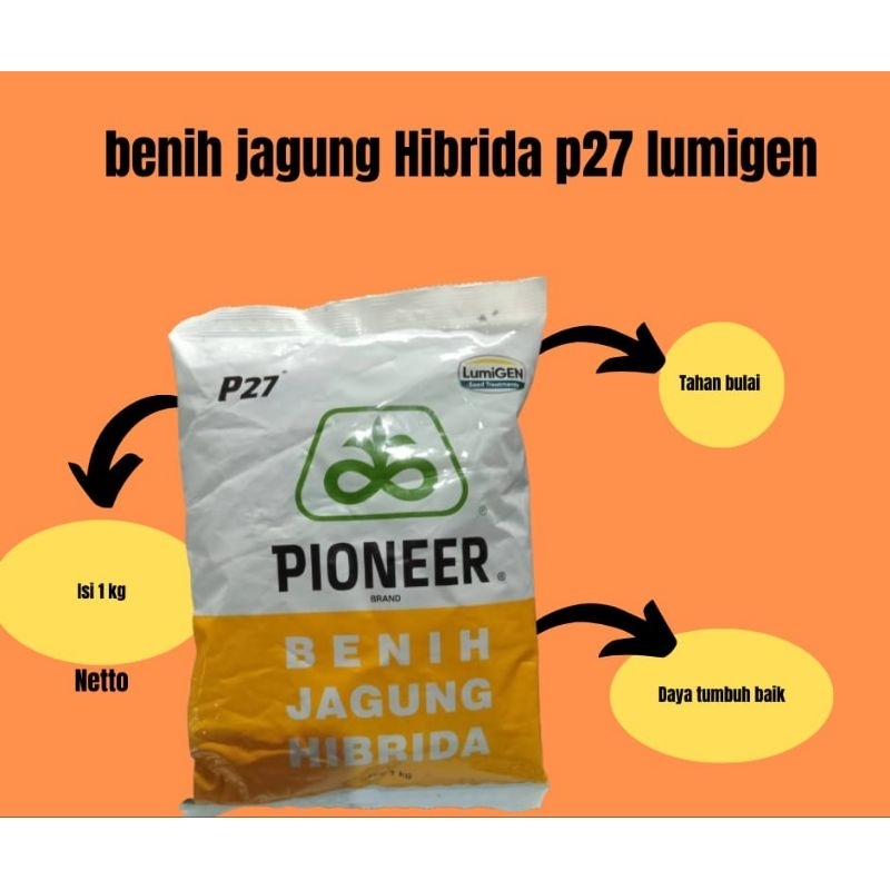 BENIH JAGUNG P27 LUMIGEN 1 KG